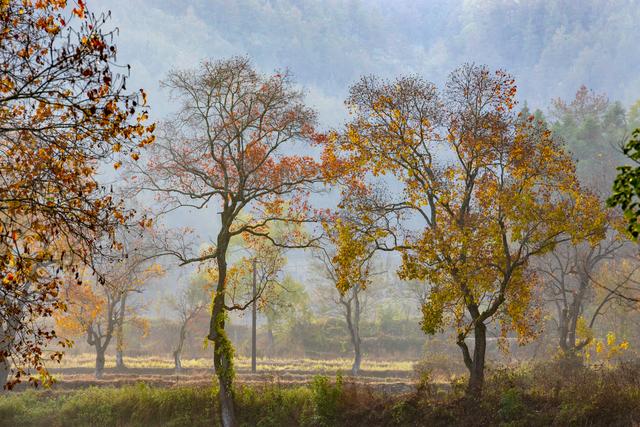 大别山中徐凤冲