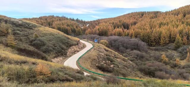 和林格尔之绿色交响曲:生态赋能绘新卷 奋楫扬帆启新程