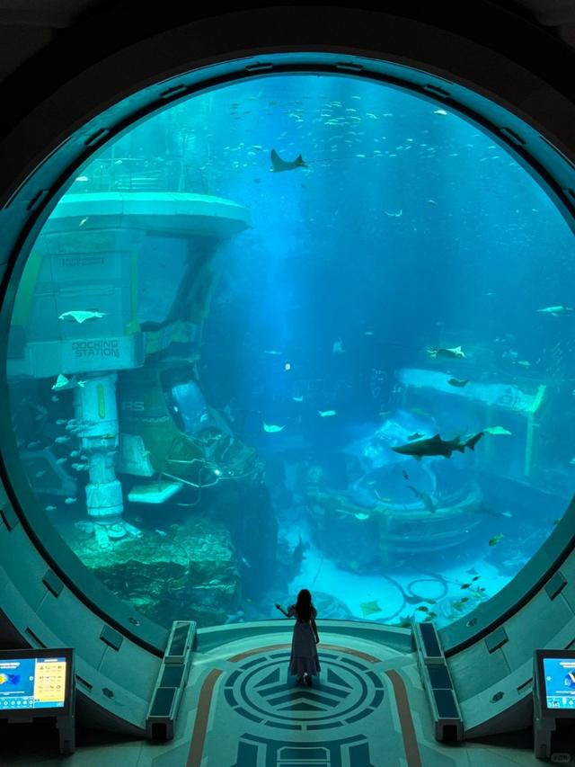 纯干货！阿联酋迪拜+阿布扎比7天6晚旅游攻略，看完直接出发！