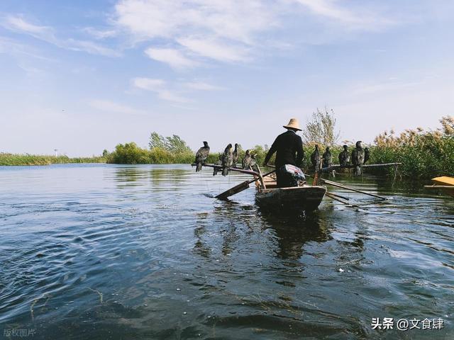 保定旅游：12小时玩转保定！5大景点+3大美食，跟着走不踩雷！