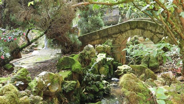 明代白龙寺，徐霞客到此一游，百年茶花，白龙盘锯而成潭
