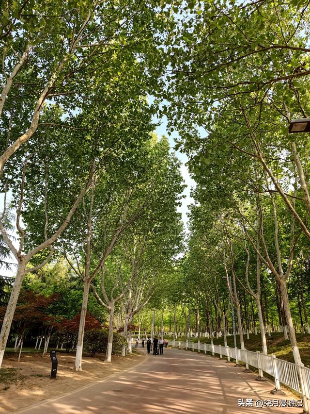 西安东郊最大的公园蔷薇花还很美,露营的游客多,小桥流水游乐场