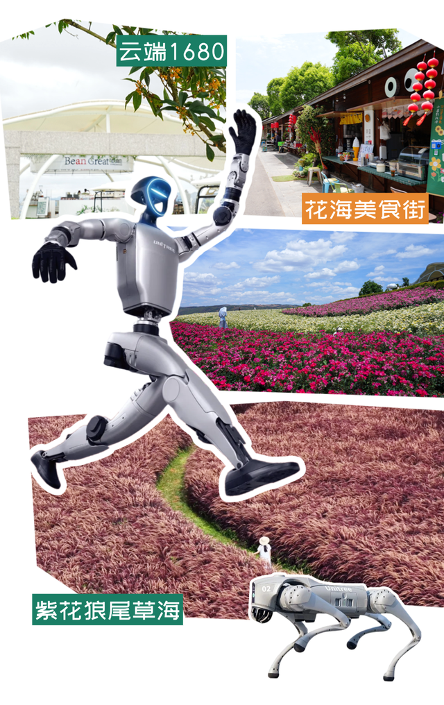 弥勒又有新玩常！花海、机器人、热气球…嗨8天！