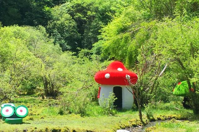 这个夏天，你与19℃的松坪沟只差一个出发！