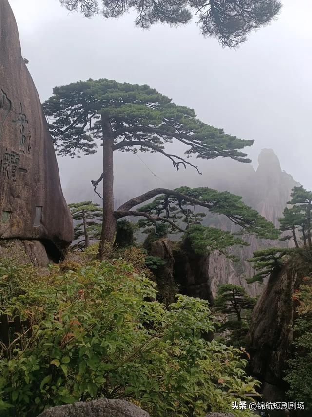 嗨起来!正是黄山游玩的好季节