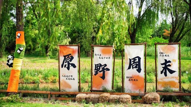 5A加速度！司马迁祠景区的升级，每一处都戳中游客心