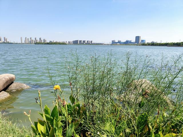 是苏州东南的潋滟湖泊，既见人间繁华又见自然浪漫！