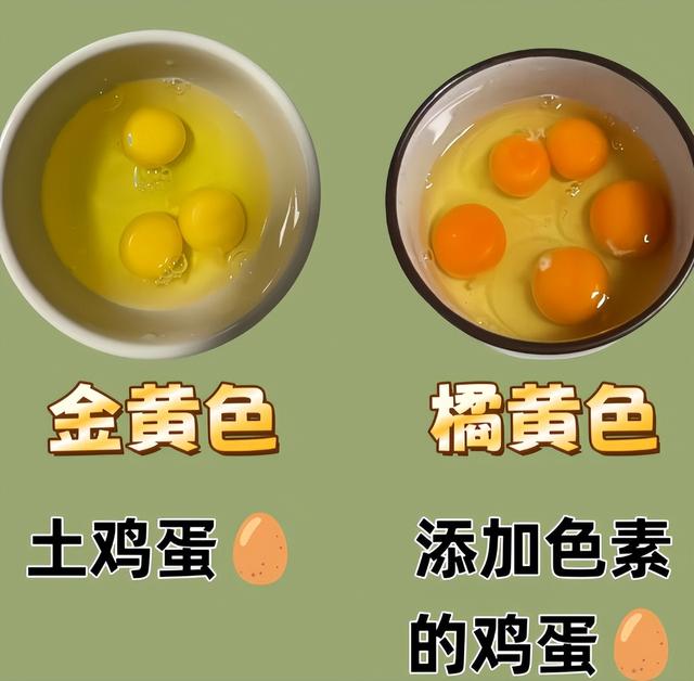 买鸡蛋时，挑干净的还是带鸡屎的？养殖户：都不对！
