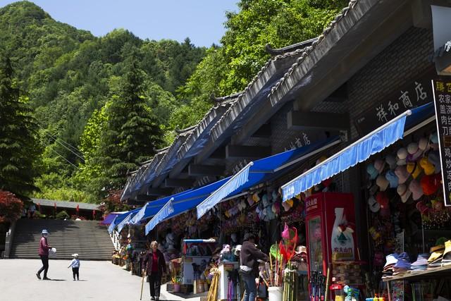 退休自驾必备！10个老司机才知道的避坑技巧，新手必看！