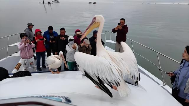 非洲5国连穿！23天Safari感受震撼的生命力，每一天都是人生限定