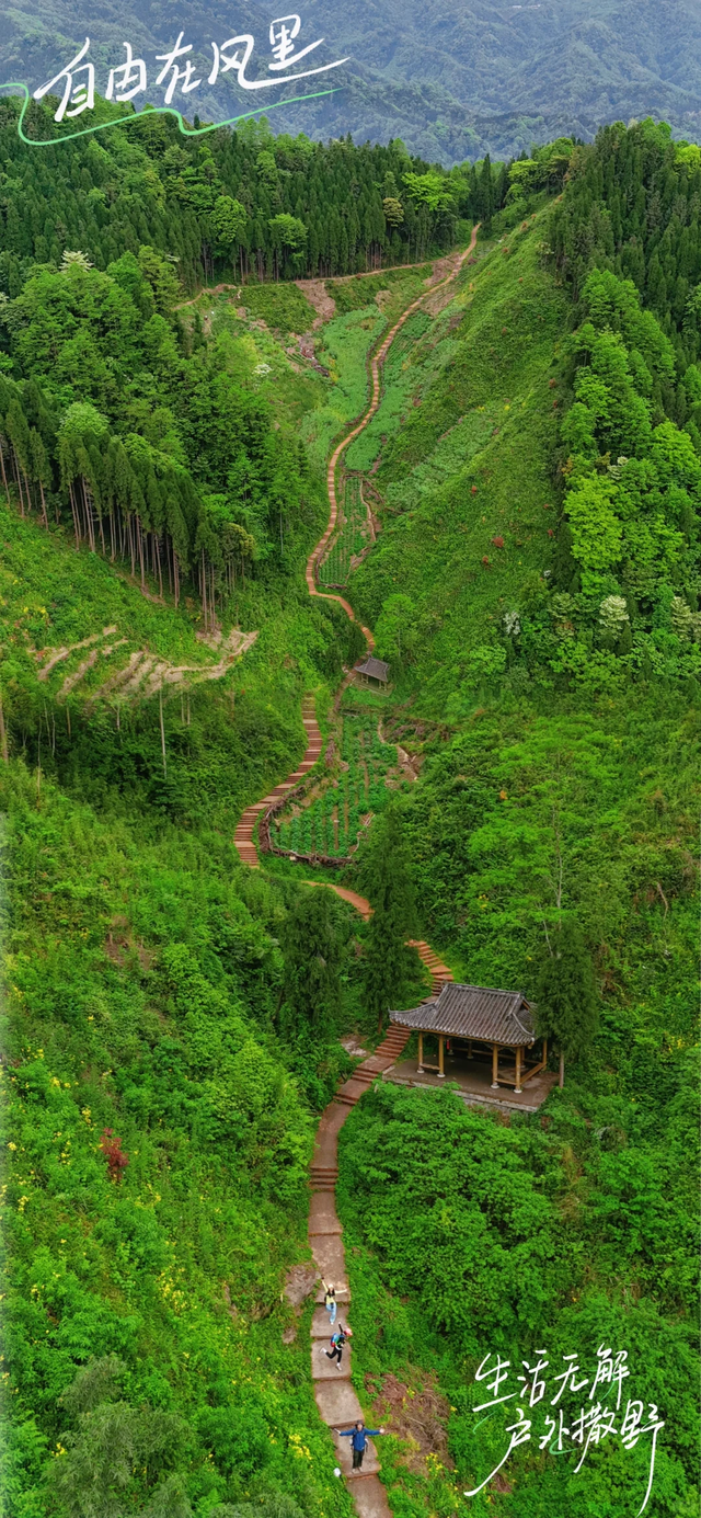 成都1.5h直达的冷门徒步秘境，小众景美独享山野！