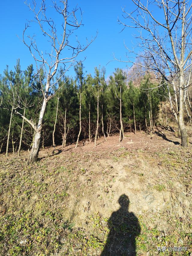 西安周边藏不住，浅山暖阳等你来晒！