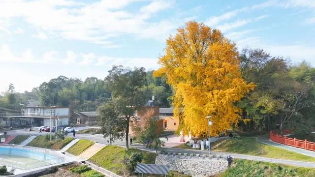 开篇暴击：九江秋季 “顶流” 集结，颜值巅峰已在路上！