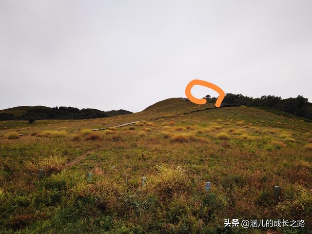 总要去趟草原吧！自驾塞罕坝和乌兰布统超简攻略（附图超全）