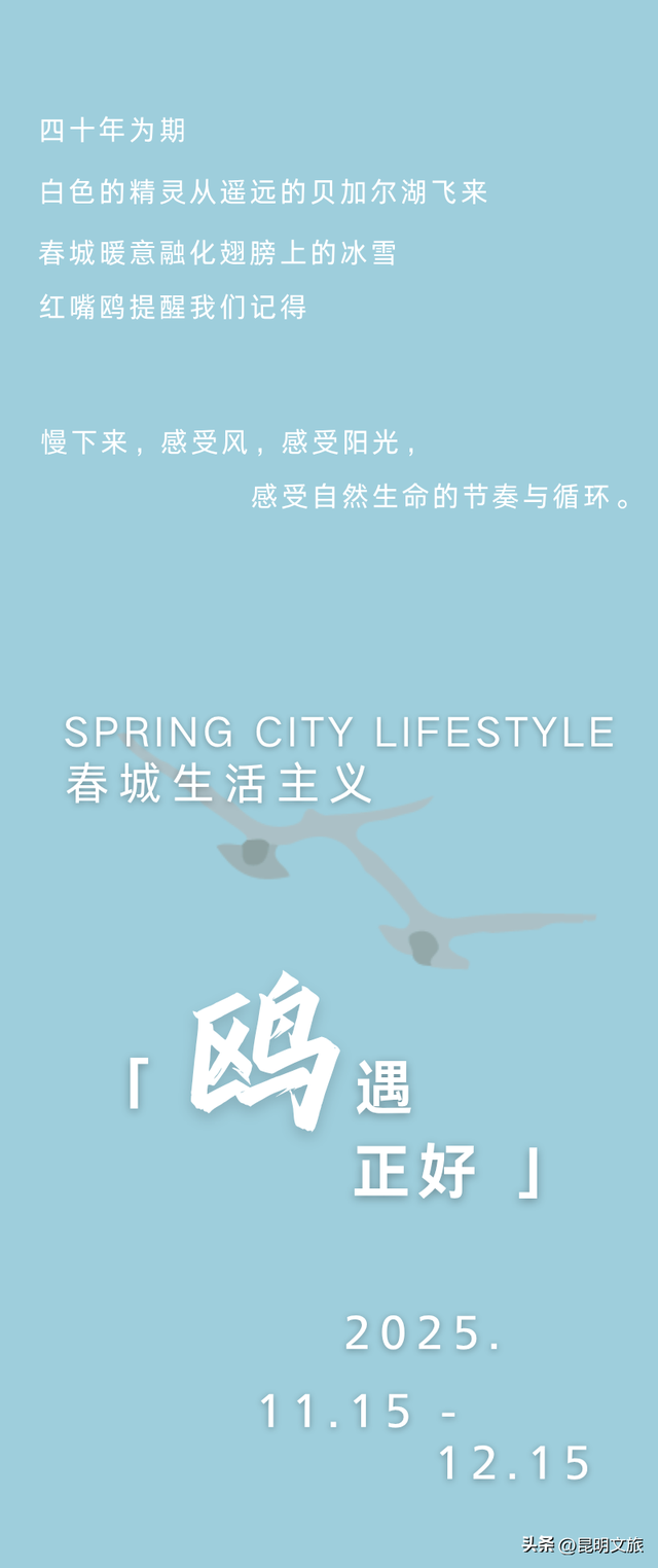 活动预告 | 春城生活主义 ·「 鸥遇正好 」