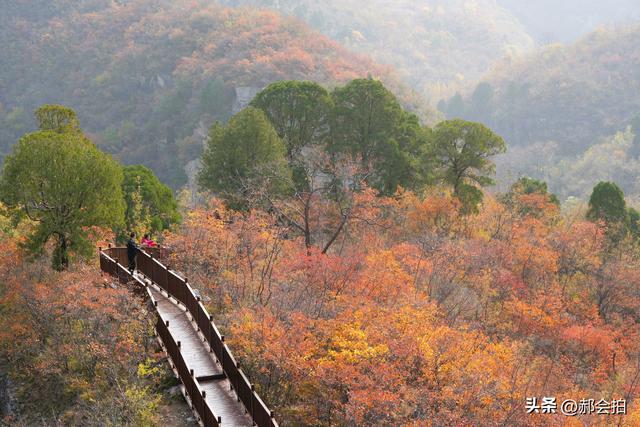 焦作窄门的深秋色彩！走五彩步道，赏太行红叶