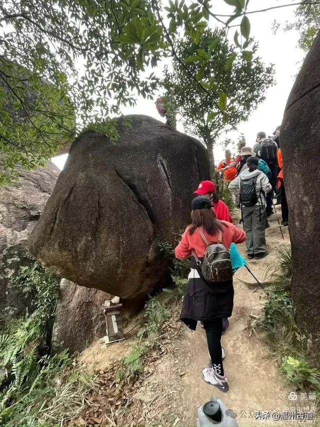 一步一景，奇石不断！温州这处奇石纷呈的的免费景区你可去过？