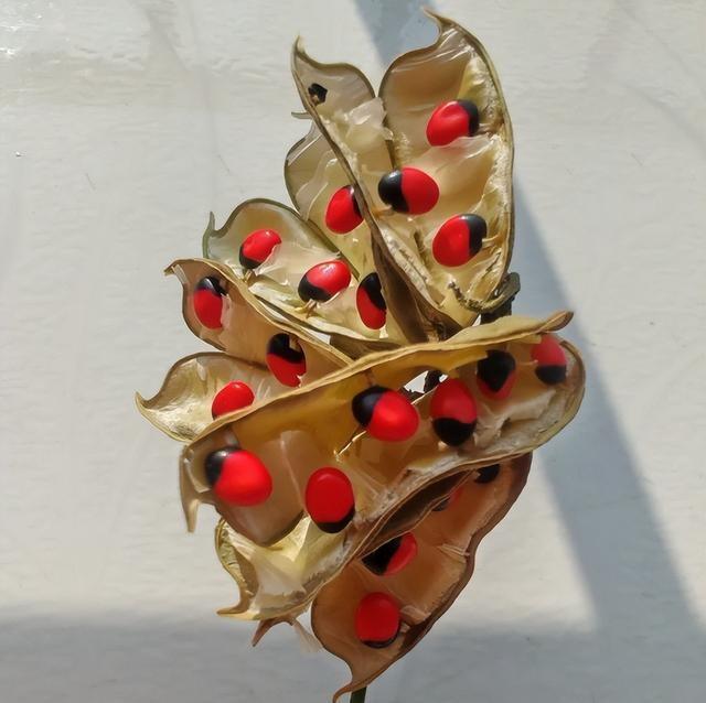 狠心扔掉近万元首饰，发现：这6种首饰，越戴越难受，千万别买