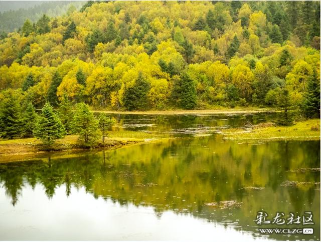 秋天的影像诗 普达措国家森林公园的秋天静谧安详，如诗如画