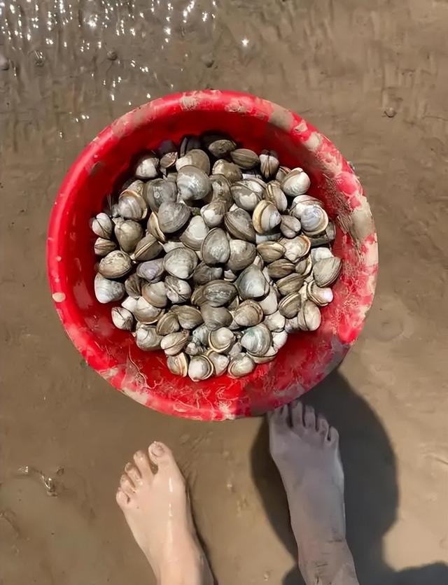 去了一趟海口和三亚，实话实说：海口和三亚的差异确实挺大的！