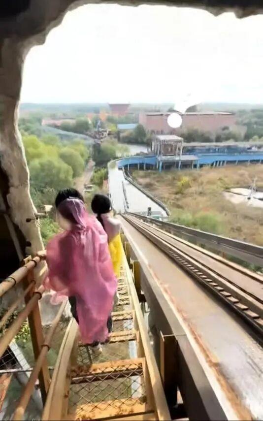 游客被困在20米空中，竟是一只小鸟闯的祸，山东泰安一景区回应：可以申请退票