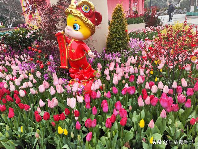 武汉十二月——一月一帧藏走过2025的四季光影