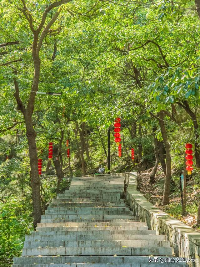【乐游烟台】被问爆的的烟台登山好地！后悔没早来！
