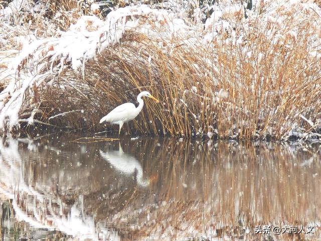 雪落中站，解锁冬日五彩新画卷