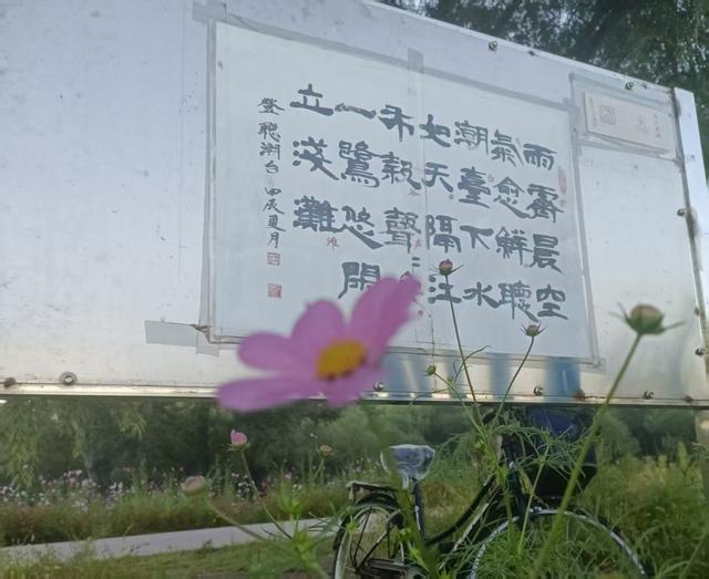 听潮台秋花开