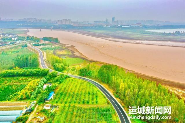 黄河一号旅游公路平陆段：层林尽染黄河岸