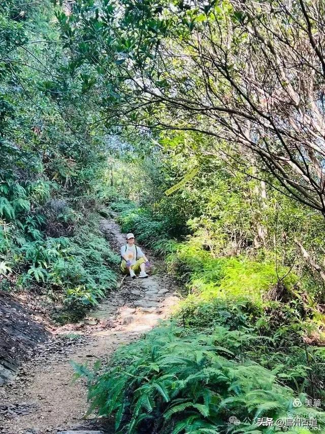华东最后的香格里拉秘境!仙居公盂岩徒步走起!