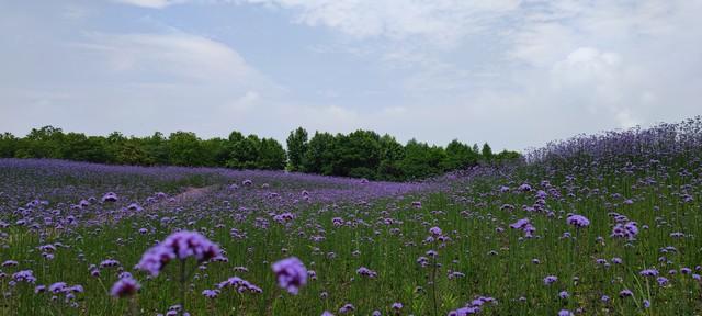 从荒原到新城！可克达拉的70年，藏着几代人的家国深情与未来期许