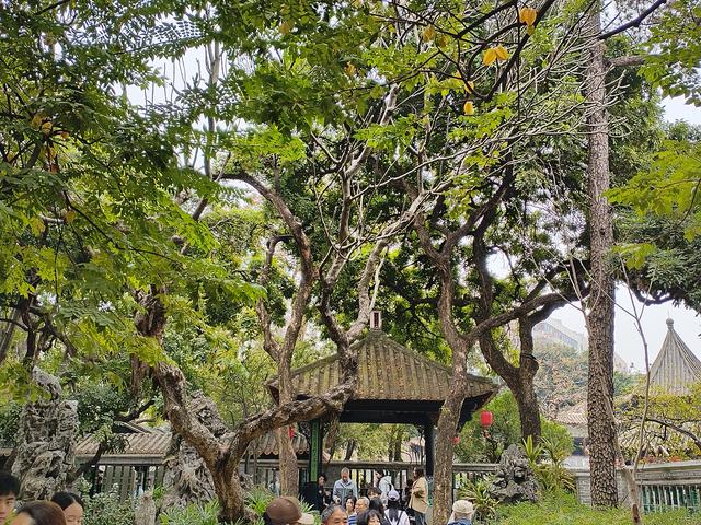 2026广东温暖之旅：黄埔军校旧址、顺德清晖园、华盖路