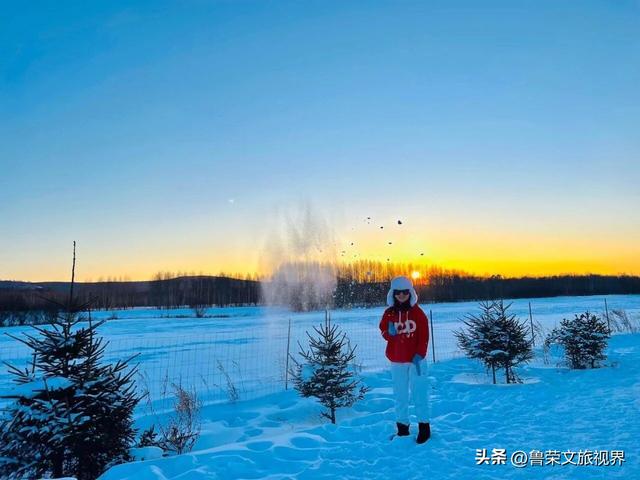 漠河六景漫游指南：从白桦林到驯鹿园，解锁极北冰雪童话