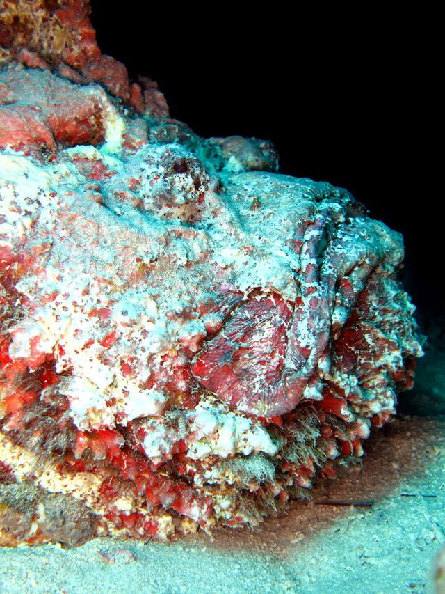 抢矿产占红海，大国博弈苏丹谁管民众死活，停火真的还有希望吗