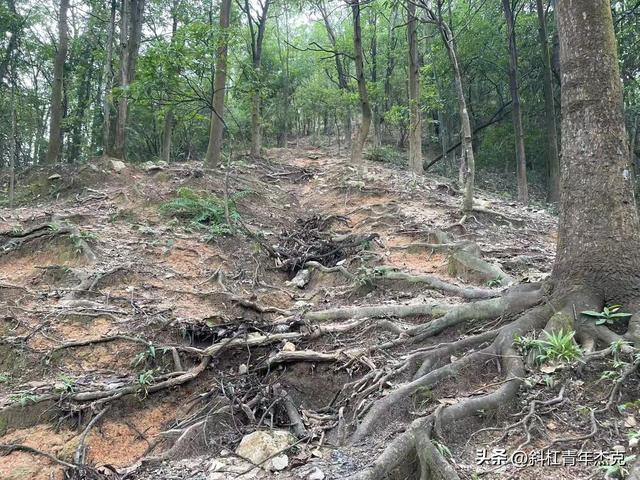 秋天的第一场徒步，竟然走了个13公里大环线 内含岐澳古道徒步攻略