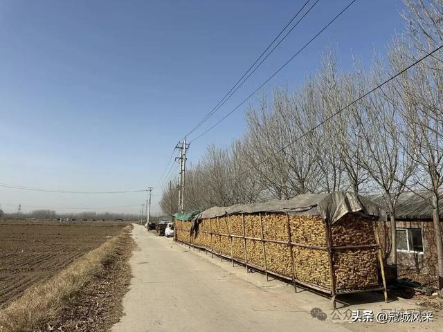 冠县乡韵·辛集镇饮马庄