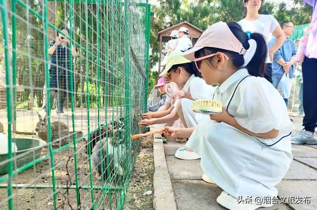 【乐游烟台】亲子游必码！来这里尽享欢乐好时光！