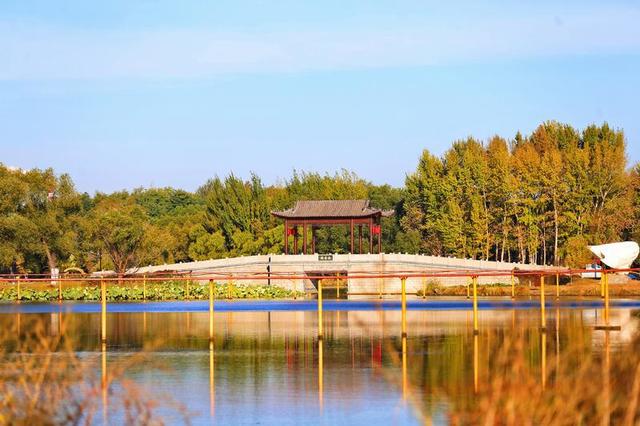 长春北湖公园：湖光秋色两相宜