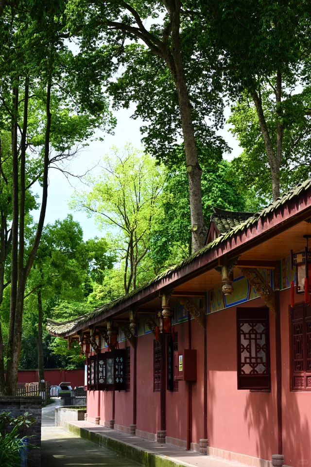 邛崃白鹤山千年绿道，成都0.5h直达，玩转古寺禅意+森系秘境！