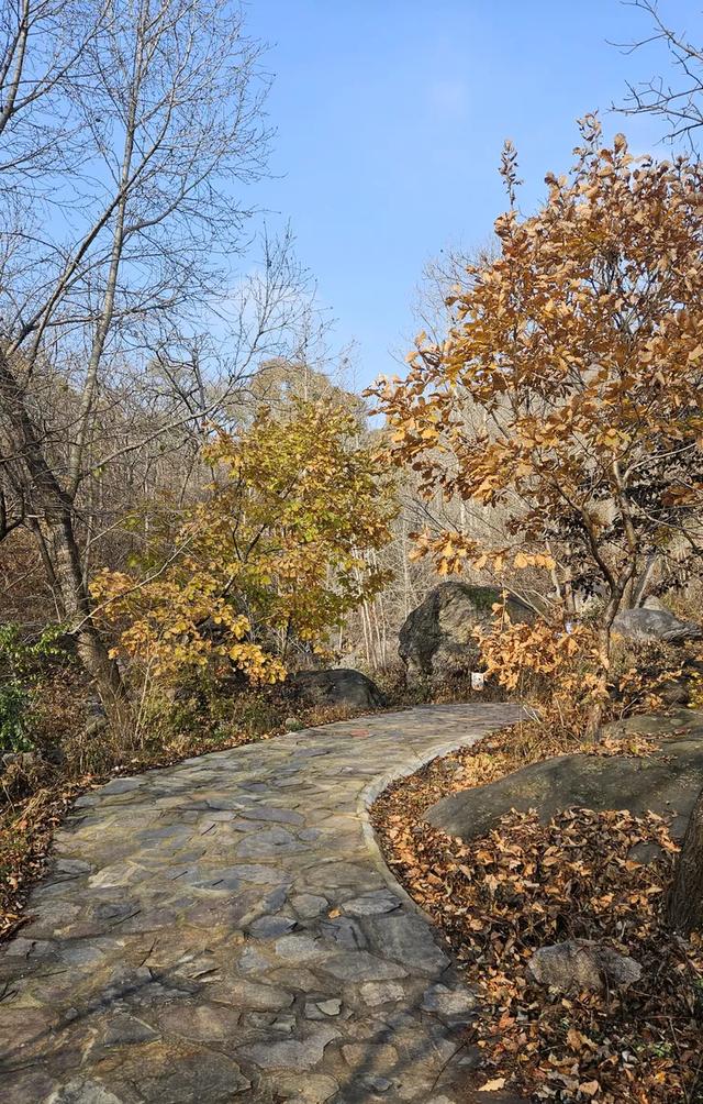 一脚踏进雪与秋的交界处，京郊深山里藏着深秋最温柔的惊喜！​