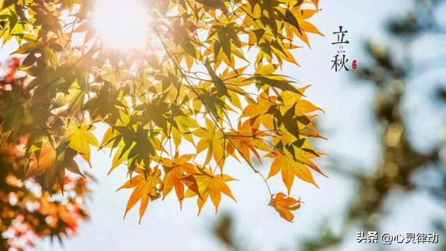 今年立秋不一般，60年一遇“闭眼秋、脱衣秋”，立秋后还热不热？
