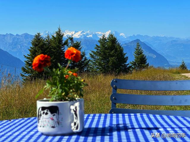 欧游杂记（5）‖ 齿轮火车几上几下瑞吉山，缆车凌空飞跃韦吉斯