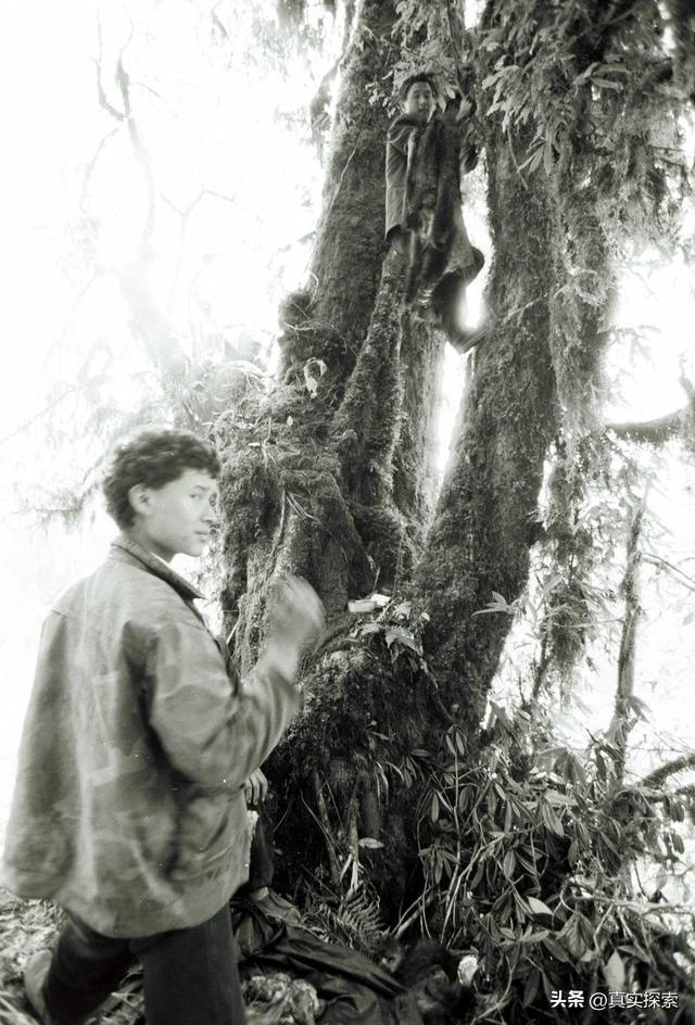 38 寻找大瀑布【岩洞营地—坡间营地D】阴多云夜雨（日记版）雅漂