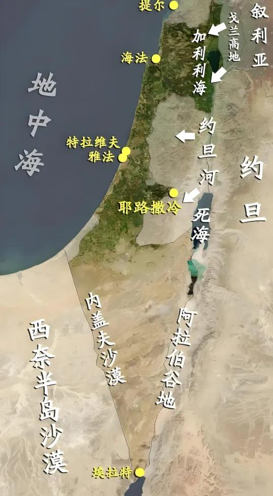 在埃及观察组的日日夜夜(七 完结篇)