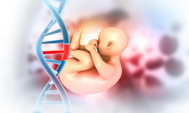 研究发现：越来越多的女人怀孕难？产科医生告诉你真相。