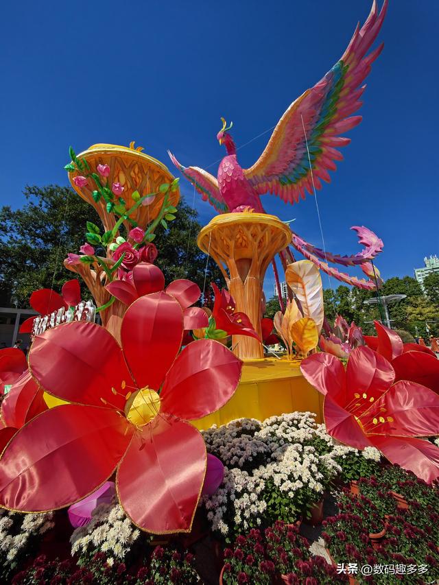 广州66届羊城菊花展，快来看打卡攻略