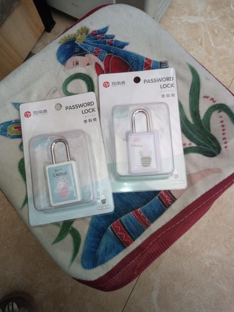 从域名到服务器：网站建设费用明细全解析