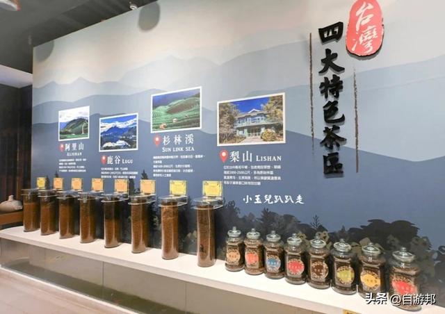 南投名间景点 天空步道、茶园秘境、品味台湾茶文化