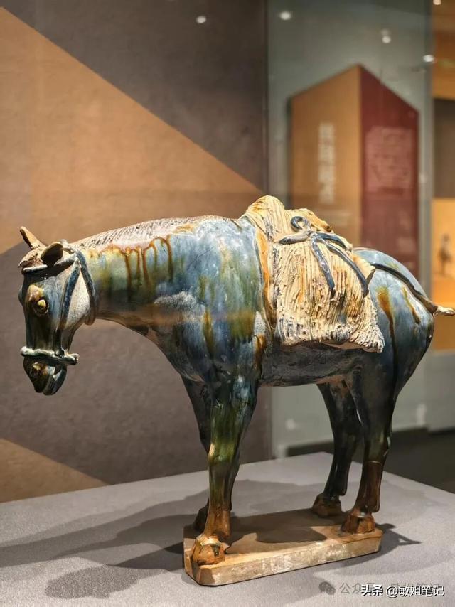 【西安游学之三】文博探秘：西安博物院